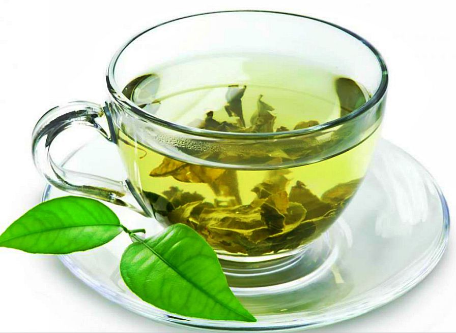 Почечный чай: польза, вред и противопоказания