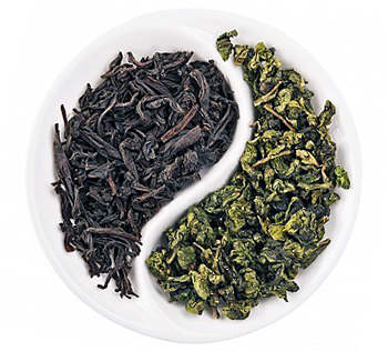 Зеленый чай: особенности и полезные свойства